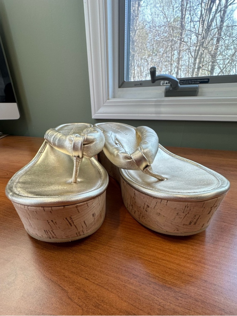 Veronica Beard Genocork Metallic Champagne Thong Sandals Sz 10 - Picture 2 of 16